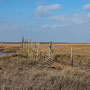 9th March am: Blakeney Harbour coast path walk towards Cley-next-the-Sea (and back)