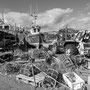 12th Sept PM: St Abbs - walk around harbour