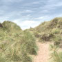 7th Sept AM: Cheswick Sands nature reserve