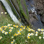 6th June: (am) Hartland Quay - Speke's Mill Mouth Waterfall