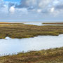 11th October AM: walking from Holme Dunes  nature reserve to Thornham Quay
