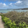 25th March AM: Padstow walk along the Camel estuary