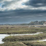 11th October AM: walking from Holme Dunes  nature reserve to Thornham Quay