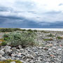 Point of Lag near Monreith, Gavin Maxwell country (Ring of Bright Water)