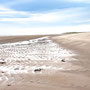 7th Sept AM: Cheswick Sands nature reserve