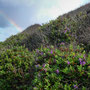 walk down to Poldhu beach & rainbow