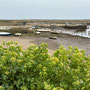 27th April AM: Morston Quay walk to Blakeney
