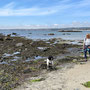 5th May pm: St Michaels Mont and beach at Mounts Bay