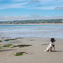 5th May pm: St Michaels Mont and beach at Mounts Bay