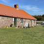 12th Sept AM: St Abbs - gallery