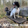 3.41 miles: end of the road; 1000 miles completed 10th December