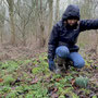 3.07 miles: Working walk in Shorthorn Woods (first snowdrops) - 15th January