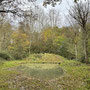November 8th: Shorthorn Woods - 2.57 miles