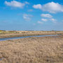 9th March am: Blakeney Harbour coast path walk towards Cley-next-the-Sea (and back)