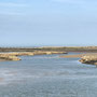 30th April PM: Burnham Overy Staithe walk to beach and back