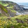 6th June: (am) Hartland Quay - coast path walk to Speke's Mill Mouth Waterfall