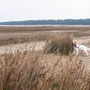 6th March AM: Holkham Beach, walking from The Lookout