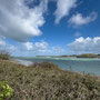 25th March AM: Padstow walk along the Camel estuary