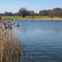 8th March am: Blickling Hall Park