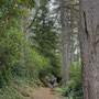 10th Sept AM: Cragside - parkland walk
