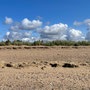 23rd Sept: Snettisham Beach