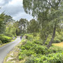10th Sept AM: Cragside - parkland walk