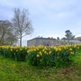 Arlington Hall
