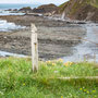 6th June: (am) Hartland Quay - Speke's Mill Mouth Waterfall