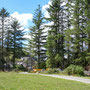 View from picnic stop ...