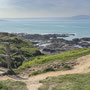 21st March AM: NT Pentire Glaze - walk to Pentire Point (and back)