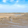 30th April PM: Burnham Overy Staithe walk to beach and back