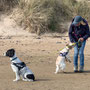8th Sept PM: Beadnell Bay