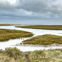 11th October AM: walking from Holme Dunes  nature reserve to Thornham Quay