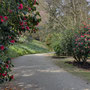 22nd March:  NT Lanhydrock House, garden & parkland