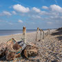 9th March pm: from Cley Marshes Visitor Centre to Cley beach towards Salthouse (and back)