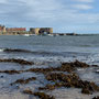 8th Sept PM: Beadnell Bay