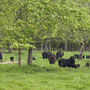 April 13th: Brockhampton - 2.67 miles