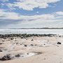 8th Sept PM: Beadnell Bay