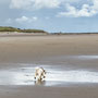 8th Sept AM: Seahouses beach and looking out to Farne Islands