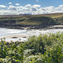 12th Sept AM: Coldingham Bay 