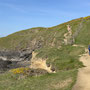 21st March AM: NT Pentire Glaze - walk to Pentire Point (and back)