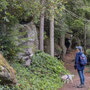10th Sept AM: Cragside - parkland walk