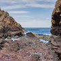 9th June - pm: circular walk from St Abbs visitor centre to St Abb's Head