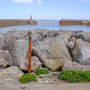 Watchet Harbour