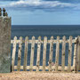 12th Sept PM: St Abbs - walk around harbour