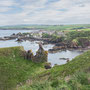 9th June - pm: circular walk from St Abbs visitor centre to St Abb's Head