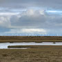 14th October AM: Blakeney and Cley