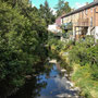 The Severn (downstream) at Llandiloes.