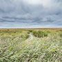14th October PM: Cley North Norfolk Reserve