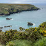 May 2nd: pm - From Godrevy to Hell's Mouth